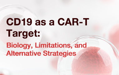 CD19 as a CAR-T Target: Biology, Limitations, and Alternative Strategies
